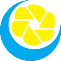 Lemon Juice Projects logo, Lemon Juice Projects contact details