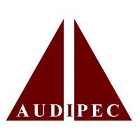 Audipec Auditoria e Perícia Contábil S.S. logo, Audipec Auditoria e Perícia Contábil S.S. contact details