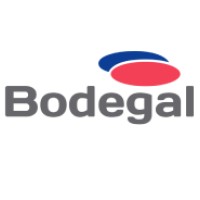 Bodegal Chile logo, Bodegal Chile contact details