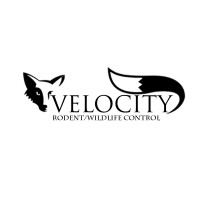 Velocity Enterprises Corp. logo, Velocity Enterprises Corp. contact details