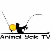 Animal Yak TV logo, Animal Yak TV contact details