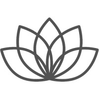 Dhamma Capital logo, Dhamma Capital contact details