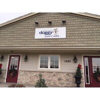 North Shore Doggy Daycare logo, North Shore Doggy Daycare contact details