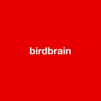 birdbrain logo, birdbrain contact details