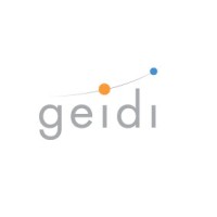 Geidi IT Services logo, Geidi IT Services contact details