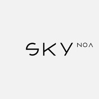 SKYnoa logo, SKYnoa contact details