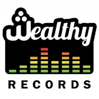 WEALTHY RECORDS, LLC logo, WEALTHY RECORDS, LLC contact details