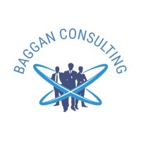 Baggan Consulting LLC logo, Baggan Consulting LLC contact details