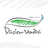 Düşler Vadisi Riva logo, Düşler Vadisi Riva contact details