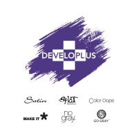 Developlus Inc logo, Developlus Inc contact details