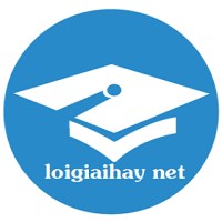 Loigiaihay Net logo, Loigiaihay Net contact details