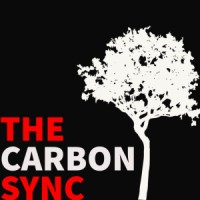 The Carbon Sync logo, The Carbon Sync contact details