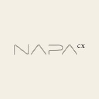 NAPA Consulting logo, NAPA Consulting contact details