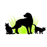 Animal Care Of Gloucester logo, Animal Care Of Gloucester contact details