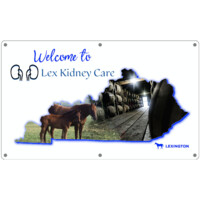 Lex Kidney Care logo, Lex Kidney Care contact details