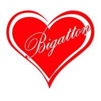 BIGATTON PRODUZIONE logo, BIGATTON PRODUZIONE contact details