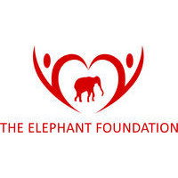 The Elephant Foundation logo, The Elephant Foundation contact details