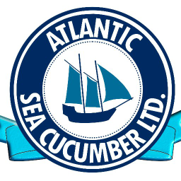 Atlantic Sea Cucumber logo, Atlantic Sea Cucumber contact details