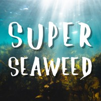 Super Seaweed Movie logo, Super Seaweed Movie contact details