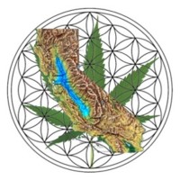 NorCal CGA (Cannabis Growers Association) logo, NorCal CGA (Cannabis Growers Association) contact details