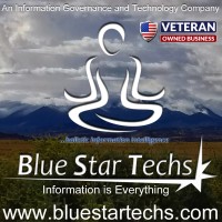 Blue Star Techs LLC logo, Blue Star Techs LLC contact details