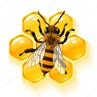 Bee Financial Services logo, Bee Financial Services contact details