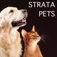 STRATA PETS logo, STRATA PETS contact details