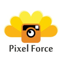 Pixel Force Pvt. Ltd. logo, Pixel Force Pvt. Ltd. contact details