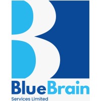 BlueBrain Services Ltd logo, BlueBrain Services Ltd contact details