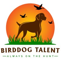 Birddog Talent, LLC logo, Birddog Talent, LLC contact details