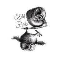 2 ODD BIRDS logo, 2 ODD BIRDS contact details