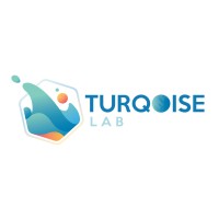 Turqoise Lab Pvt Ltd logo, Turqoise Lab Pvt Ltd contact details