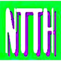 NTTH Consulting Services logo, NTTH Consulting Services contact details