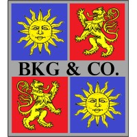 BKG & Company logo, BKG & Company contact details