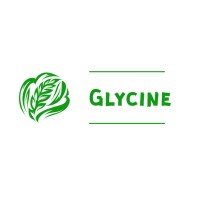 Glycine Inspeções Técnicas logo, Glycine Inspeções Técnicas contact details