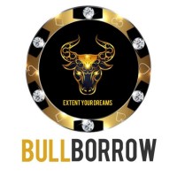 BULL BORROW logo, BULL BORROW contact details