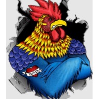 Bad Rooster logo, Bad Rooster contact details