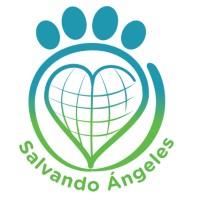 Sponsor Angels logo, Sponsor Angels contact details