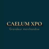 CAELUM XPO logo, CAELUM XPO contact details