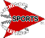 Michigan Sports Enterprises logo, Michigan Sports Enterprises contact details