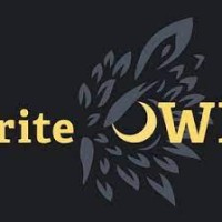 Owl Power Solutions logo, Owl Power Solutions contact details