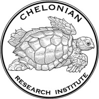 CHELONIAN RESEARCH INSTITUTE CORPORATION logo, CHELONIAN RESEARCH INSTITUTE CORPORATION contact details