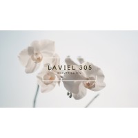 Lavièl 305 logo, Lavièl 305 contact details