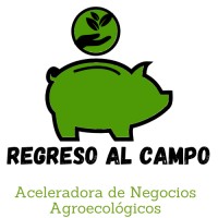 REGRESO AL CAMPO logo, REGRESO AL CAMPO contact details