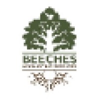 Beeches Accounting Services logo, Beeches Accounting Services contact details