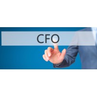 RoBuz CFO Services logo, RoBuz CFO Services contact details