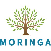 Moringa Capital Management logo, Moringa Capital Management contact details