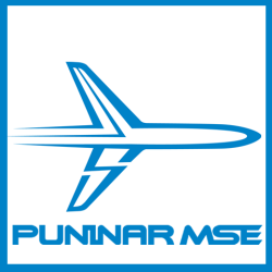 Puninar MSE Indonesia logo, Puninar MSE Indonesia contact details