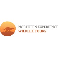 Northern Experience Wildlife Tours logo, Northern Experience Wildlife Tours contact details