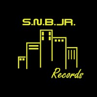 S.N.B.JR. Records, LLC logo, S.N.B.JR. Records, LLC contact details